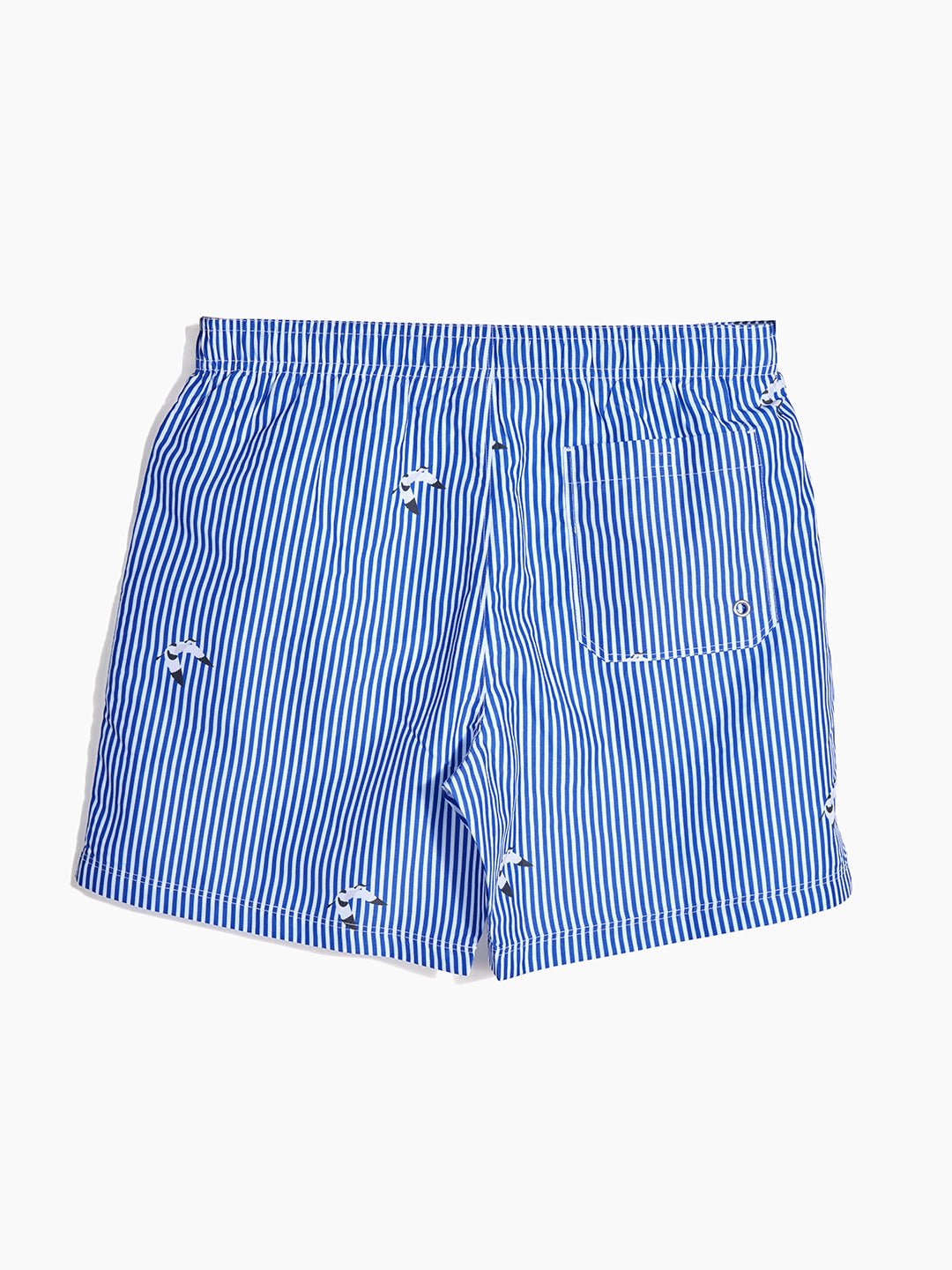 Men's Swim Shorts - Scooper Blue Stripes - Shore Borne